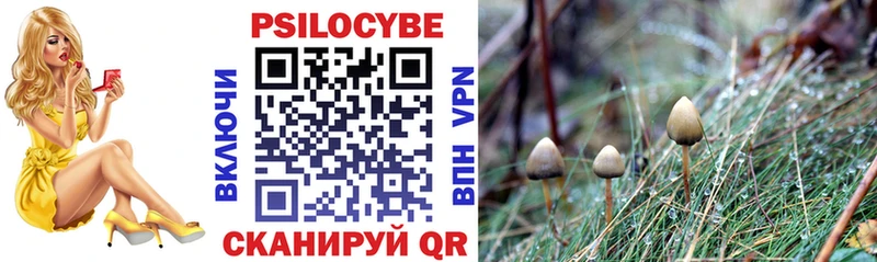 Галлюциногенные грибы Cubensis  Заинск 